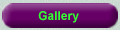Portfolio of flowers, floral arangements and bouquets