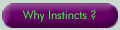 Why Instincts? Quality Wedding Flowers.